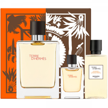 Hermes Terre D Hermes EDT 100ml + EDT 5ml + SG 40ml