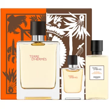 Hermes Terre D Hermes Set EDT 100ml + EDT 5ml + SG | My Beauty Self