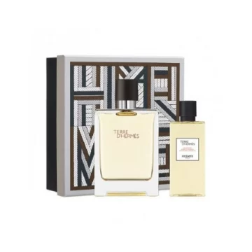 Hermes Terre D Hermes Set EDT 100ml + SG 80ml