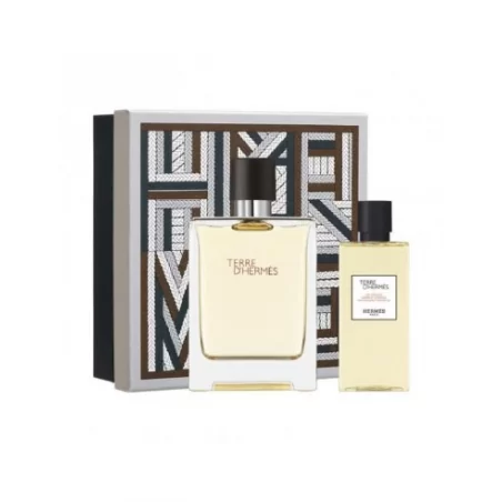 Hermes Terre D Hermes Set EDT 100ml + SG 80ml