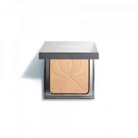 Sisley Blur Expert Perfecting Smoothing Powder 11 g