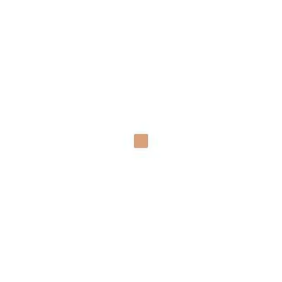 Estee Lauder Double Wear Stay in Place Makeup SPF10 06 4C2 Auburn 30ml
