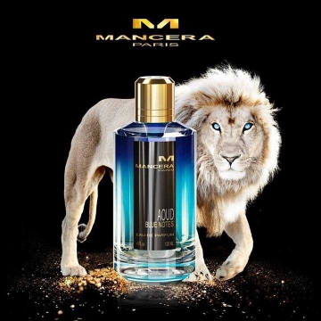 MANCERA Aoud Blue Notes 120 ML - 