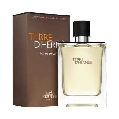 Hermès Terre d'Hermès Eau de Toilette 100ml | My Beauty Self