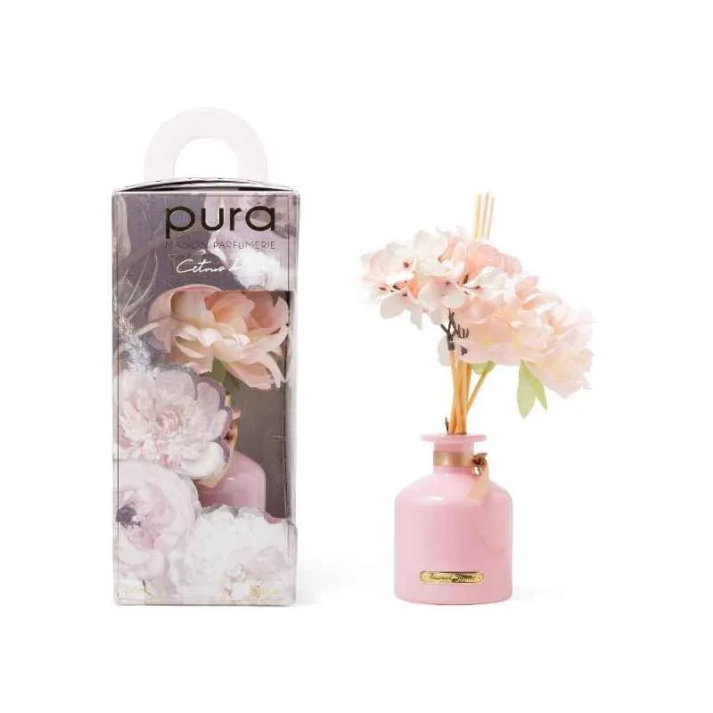 Diffusore di Fragranza con Bacchette e Fiori Decorativi 225 ml Citrus Island Diffusore di Fragranza con Bacchette e Fiori Decorativi 225 ml Citrus Island
