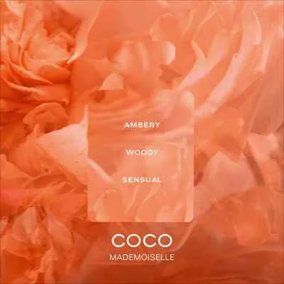 Chanel Coco Mademoiselle Eau de Parfum Intense 100 ml Chanel Coco Mademoiselle Eau de Parfum Intense 100 ml