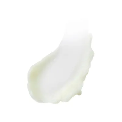 Estée Lauder Advanced Night Cleansing Balm with Lipid-Rich Oil Infusion 70ml